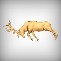 Elk 8