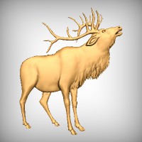 Elk 9