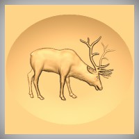 Elk 10