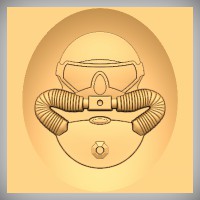 Diver Insignia