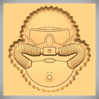 Diver Insignia