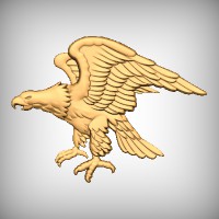 Military Eagle 3