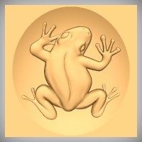 Frog 2