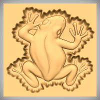 Frog 2