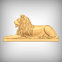 Lion 3