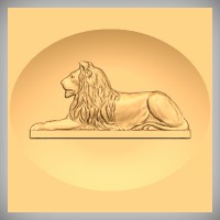 Lion 3