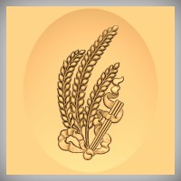 Wheat & Ribbon