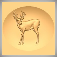 Deer 9