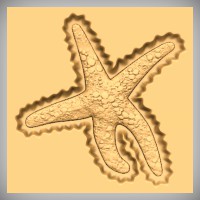 Starfish 2