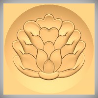 Lotus Flourish 2B