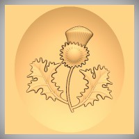 Stylized Thistle