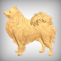 German Spitz