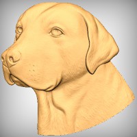 Labrador