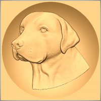 Labrador