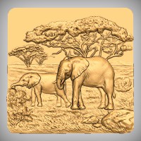 Elephant Scene