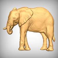 Elephant 3 - Large