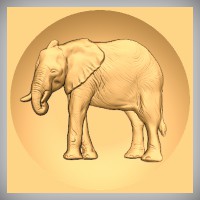 Elephant 3 - Large