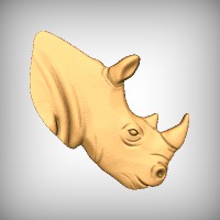 Rhino Bust