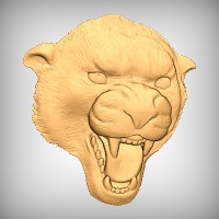 Panther Head 1