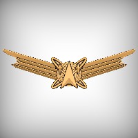 Space Operations Badge