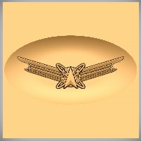 Space Operations Badge