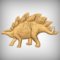 Stegosaurus