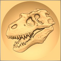 TRex - Skull