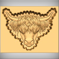 Highland Cow