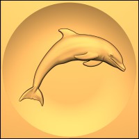 Dolphin Jumping