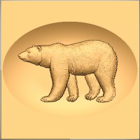 Polar Bear