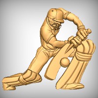 Cricket Batsman