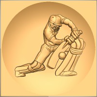 Cricket Batsman