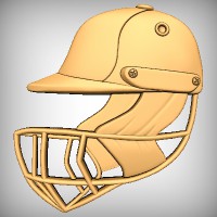 Cricket Batsman Helmet