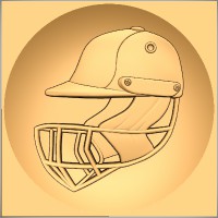 Cricket Batsman Helmet