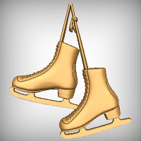 Figure Skates