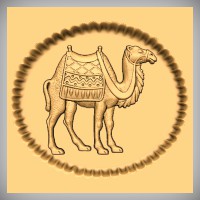 Nativity Camel