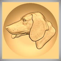 Hanoverian Bloodhound