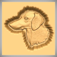 Dachshund Short Haired