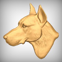 Doberman Dog Head