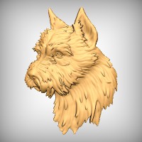 Cairn Terrier