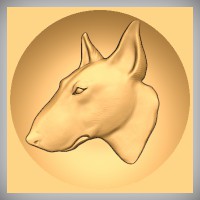 Bull Terrier