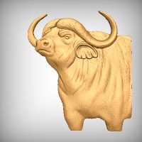 Buffalo Bust