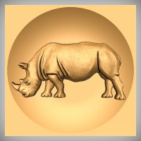 Rhino 