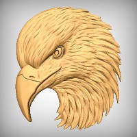 Eagle Portrait