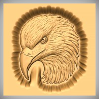 Eagle Portrait