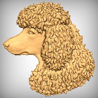 Poodle