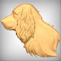 English Cocker Spaniel