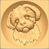 Shih Tzu