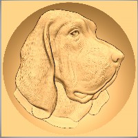 Bloodhound