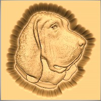 Bloodhound